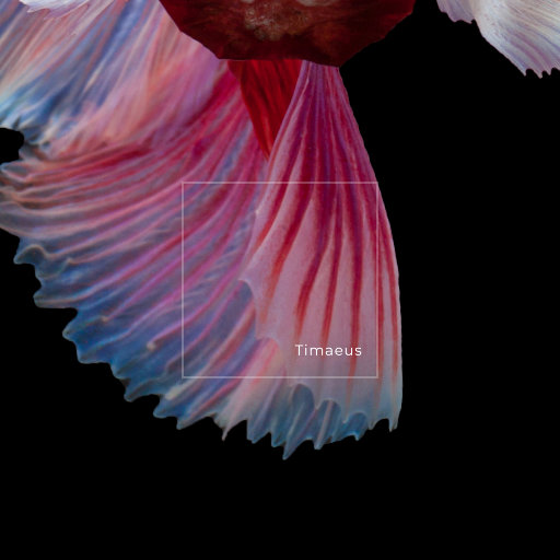 人妻丰满熟妇av滝川恵理
